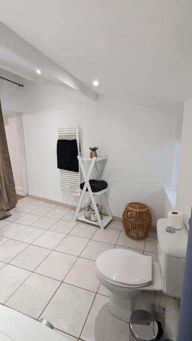 2E Grand Studio Agen Hyper Centre - Clim - Jacobins Ngoại thất bức ảnh